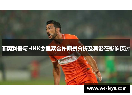 菲奥利奇与HNK戈里察合作前景分析及其潜在影响探讨